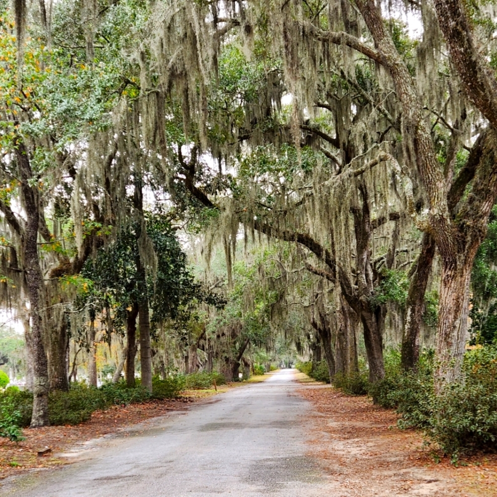 Meet your Posher, Dia